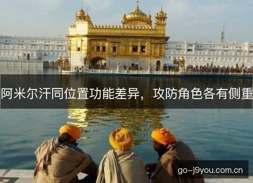 阿米尔汗同位置功能差异，攻防角色各有侧重